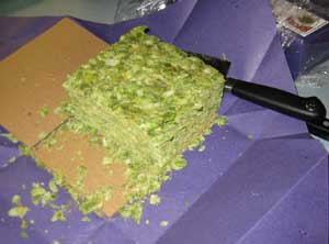 Brewer's Cut of Crystal hops