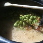 Fresh hops in the kettle