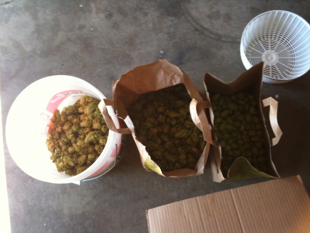 3 containers of fresh and dried hops